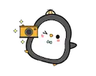 Penguin with a camera
